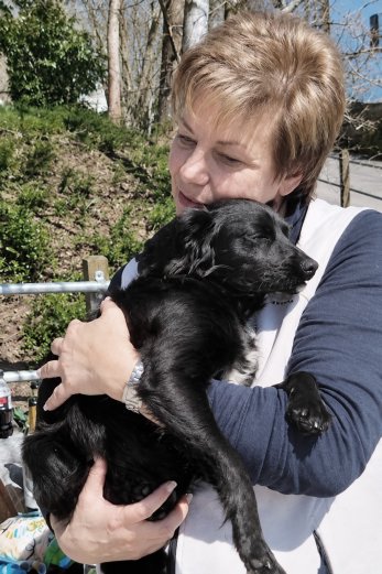 Ruth Rhyn - tierliebe-sensus.ch